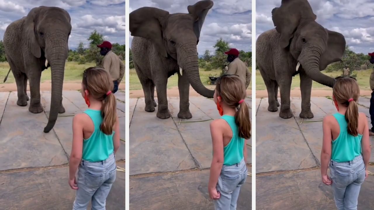 Viral Video ಇದ್ದು ಇದು ವಿಡಿಯೋ ಅಂದ್ರೆ.. ಬಲ್ ಮಜಾ ಇದೆ ನೀವೂ ನೋಡೀ Kannada