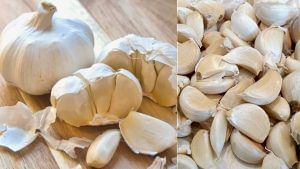 Garlic health benefits: ಬೆಳ್ಳುಳ್ಳಿ - ಭೂಮಿಗೆ ಬಿದ್ದ ಅಮೃತದ ಹನಿಗಳು! 