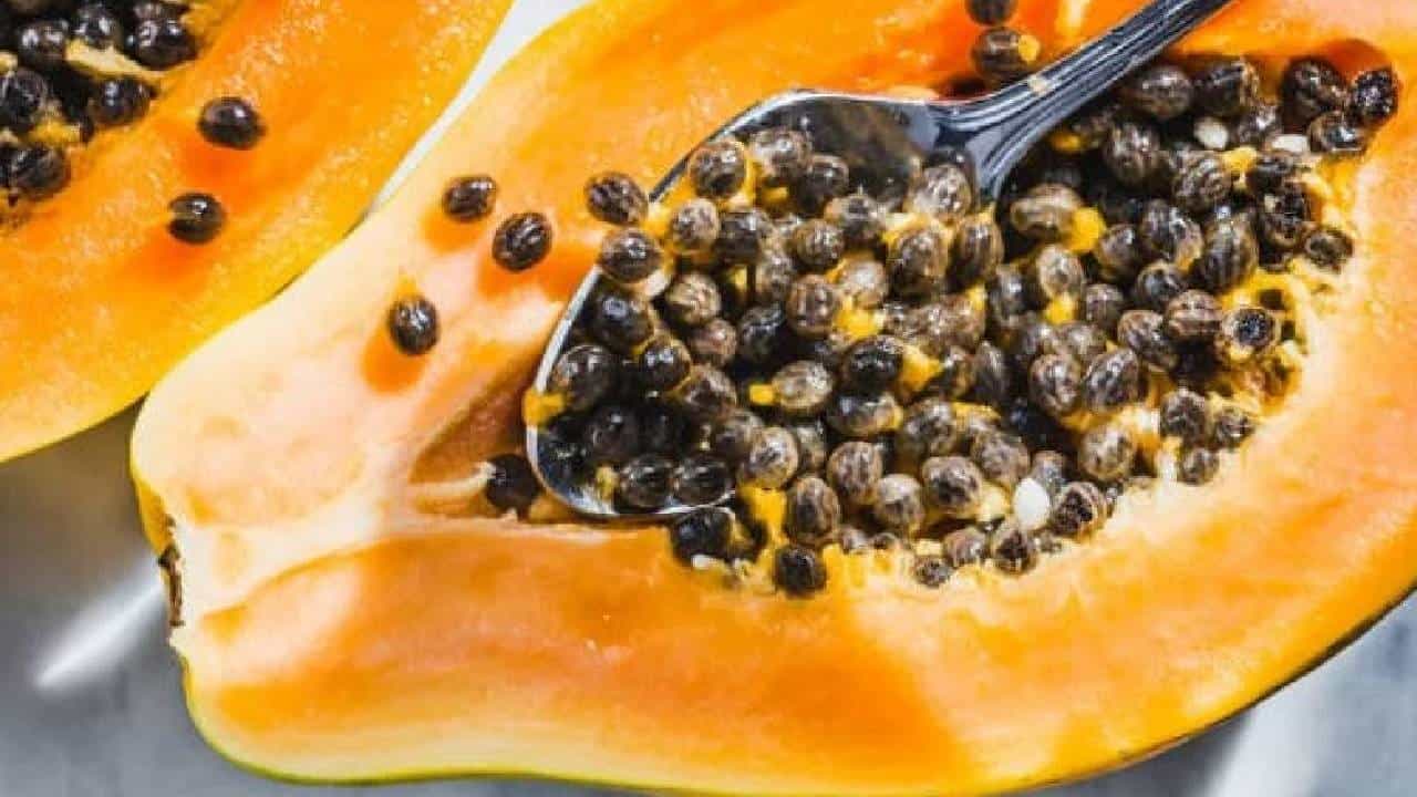 Papaya Seeds Benefits: ಪಪ್ಪಾಯಿ ಬೀಜಗಳಿಂದ ನಿಮ್ಮ ಆರೋಗ್ಯವನ್ನು ಹೇಗೆ ಜೋಪಾನ ಮಾಡಬಹುದು ಗೊತ್ತೇ? Papaya Seeds Benefits: ಪಪ್ಪಾಯಿ ಬೀಜಗಳಿಂದ ನಿಮ್ಮ ಆರೋಗ್ಯವನ್ನು ಹೇಗೆ ಜೋಪಾನ ಮಾಡಬಹುದು ಗೊತ್ತೇ?