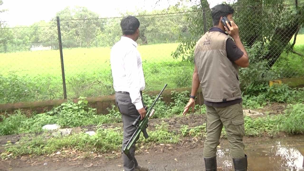 ಇಂದೂ ಸಿಗದ ಚಿರತೆ: ನಾಳೆ ಕೂಡ ಬೆಳಗಾವಿಯ 22 ಶಾಲೆ-ಕಾಲೇಜುಗಳಿಗೆ ರಜೆ, ಆನ್ಲೈನ್ ಕ್ಲಾಸ್ ಶುರು ಇಂದೂ ಸಿಗದ ಚಿರತೆ: ನಾಳೆ ಕೂಡ ಬೆಳಗಾವಿಯ 22 ಶಾಲೆ-ಕಾಲೇಜುಗಳಿಗೆ ರಜೆ, ಆನ್ಲೈನ್ ಕ್ಲಾಸ್ ಶುರು