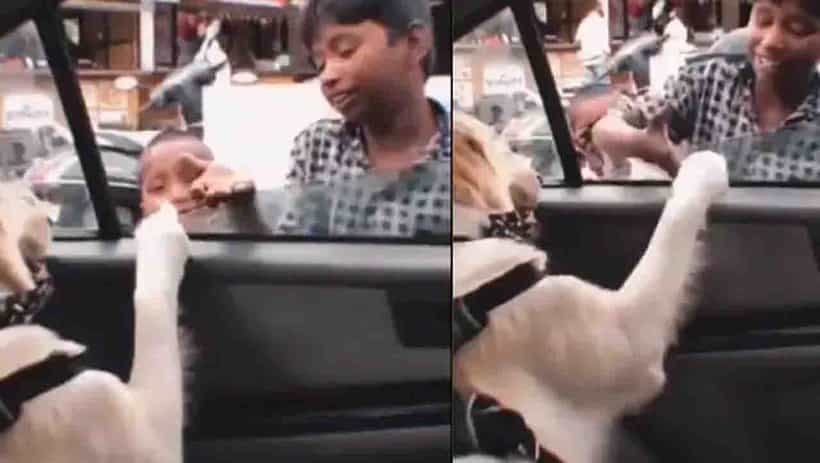 Video Viral : ಬಲೂನು ಮಾರುವ ಹುಡುಗರ ನಾಯಿಪ್ರೀತಿ