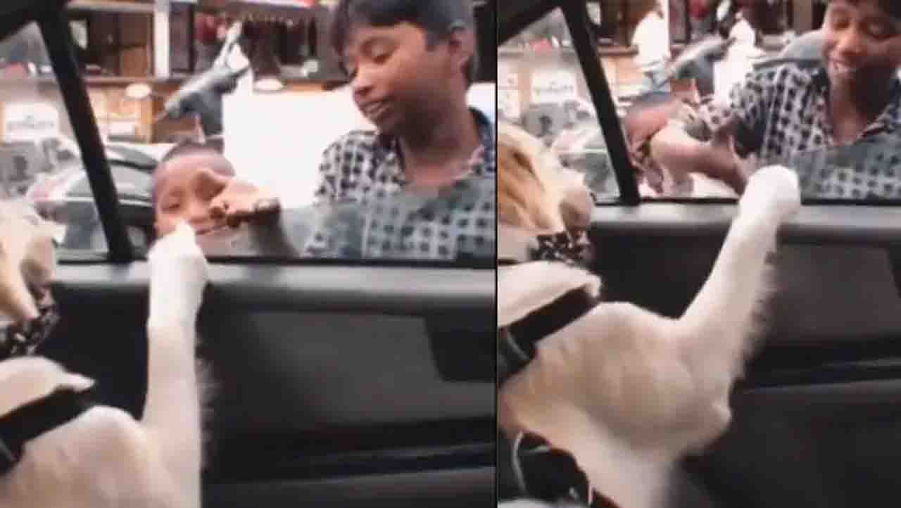 Video Viral : ಬಲೂನು ಮಾರುವ ಹುಡುಗರ ನಾಯಿಪ್ರೀತಿ