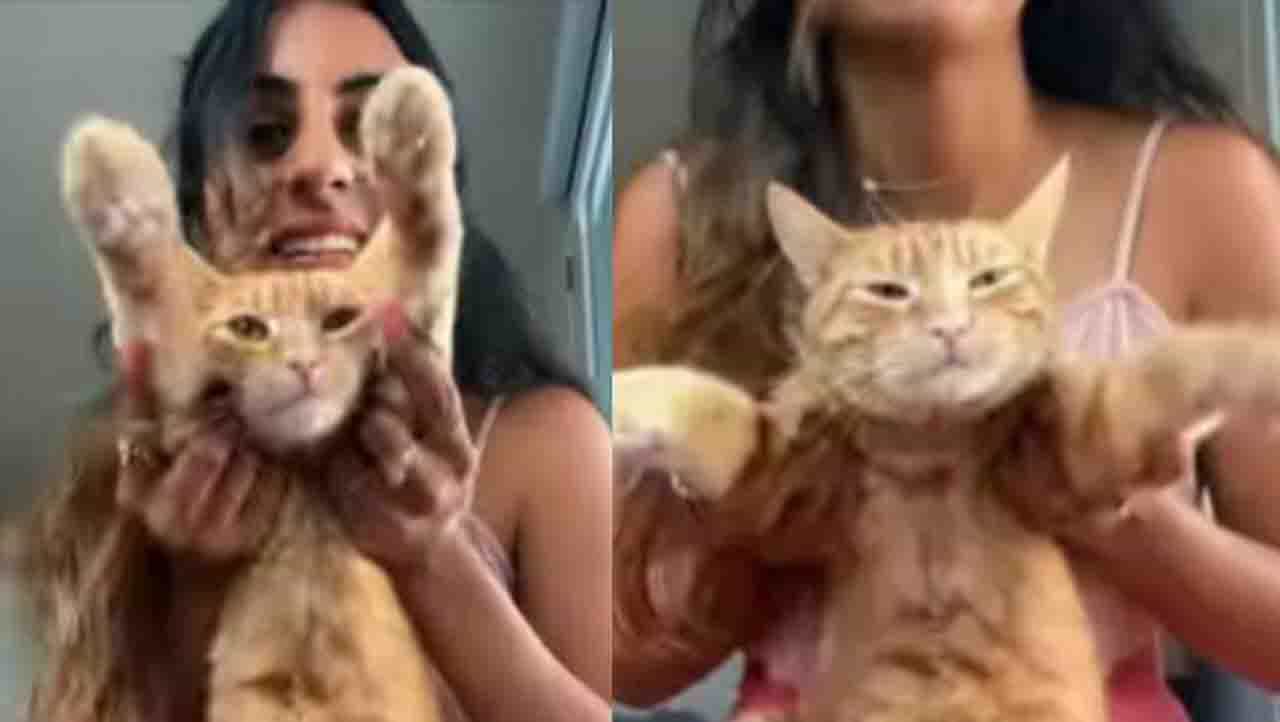 Viral Video: ‘ಗಬ್ರುಸಿಂಗ್ನಂತೆ ಹುಲಿಗೆ ಹೆಜ್ಜೆ ಹಾಕಿಸಿ ನೋಡೋಣ’ ಸವಾಲೆಸೆದ ನೆಟ್ಟಿಗರು Viral Video: ‘ಗಬ್ರುಸಿಂಗ್ನಂತೆ ಹುಲಿಗೆ ಹೆಜ್ಜೆ ಹಾಕಿಸಿ ನೋಡೋಣ’ ಸವಾಲೆಸೆದ ನೆಟ್ಟಿಗರು