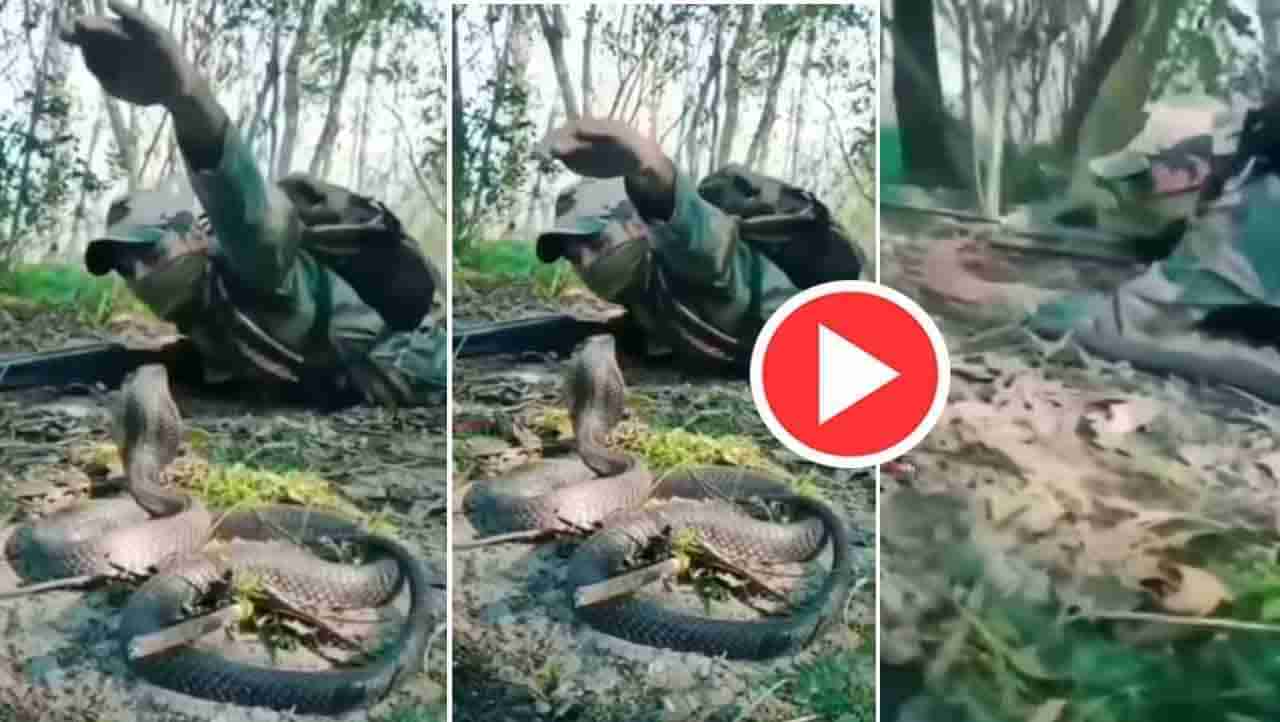 Viral Video: ನಾಗರಹಾವಿನೊಂದಿಗೆ ಸೈನಿಕನ ಸೆಣಸಾಟ