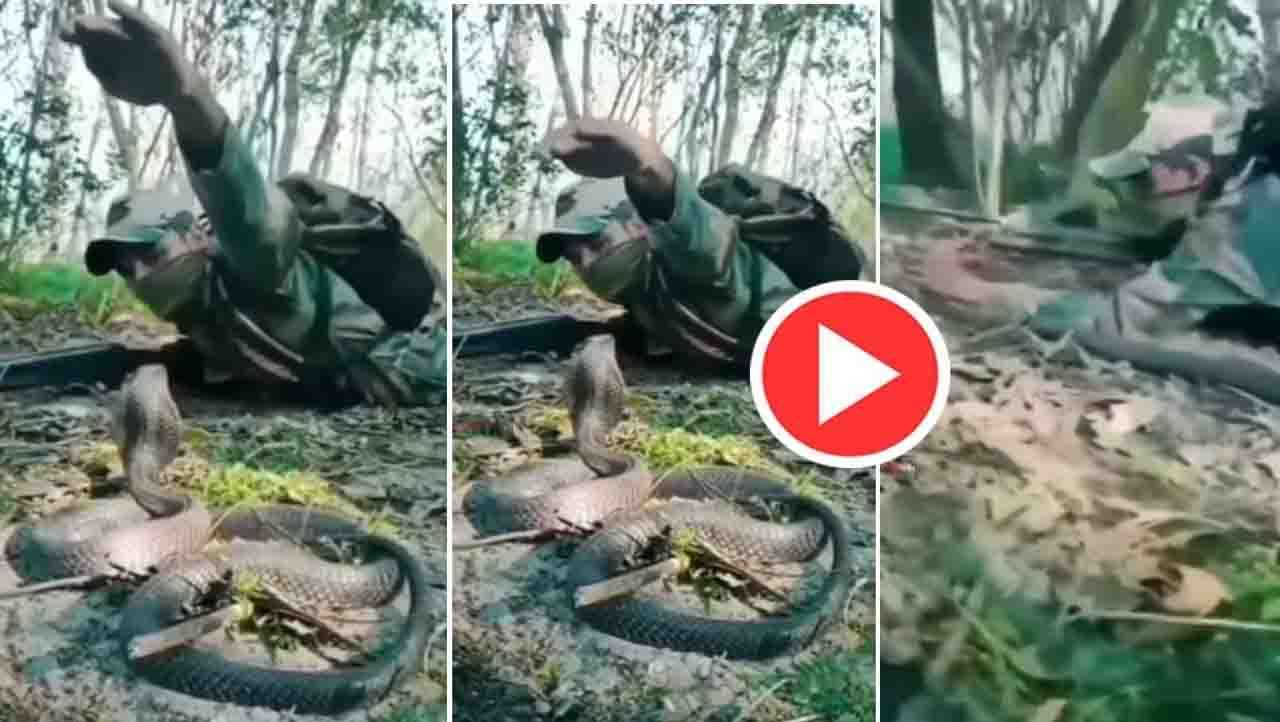 Viral Video: ನಾಗರಹಾವಿನೊಂದಿಗೆ ಸೈನಿಕನ ಸೆಣಸಾಟ Viral Video: ನಾಗರಹಾವಿನೊಂದಿಗೆ ಸೈನಿಕನ ಸೆಣಸಾಟ