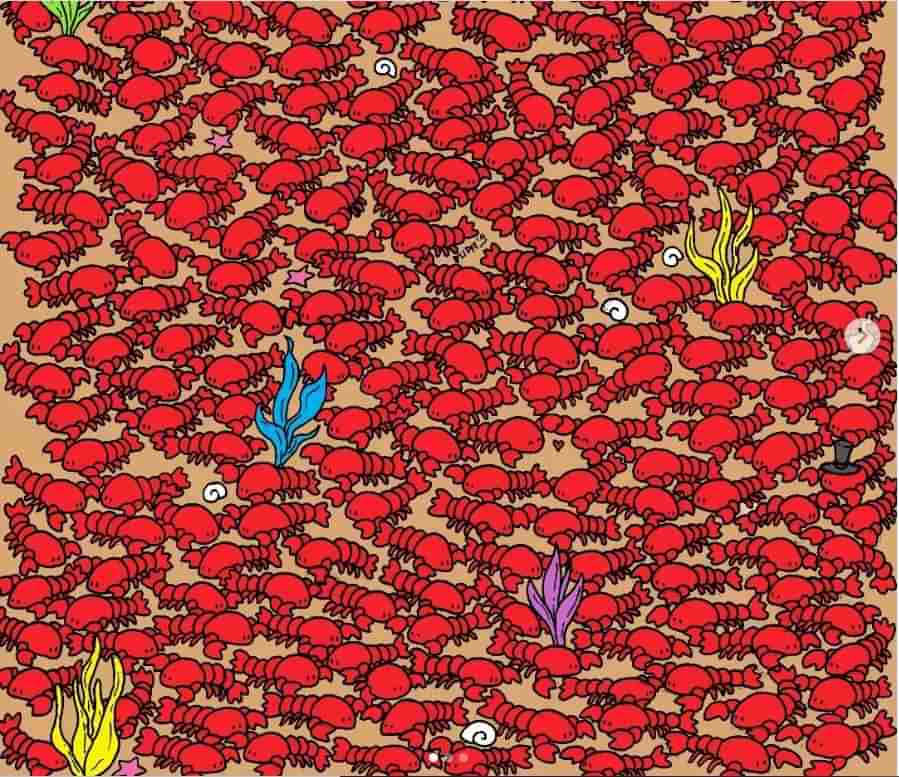 Trending : ಈ ಲಾಬ್ಸ್ಟರ್ಗಳ ಮಧ್ಯೆ ನಾಲ್ಕು ಏಡಿಗಳು ಅಡಗಿವೆ, ಎಷ್ಟು ಬೇಗ ಕಂಡುಹಿಡಿಯಬಲ್ಲಿರಿ?