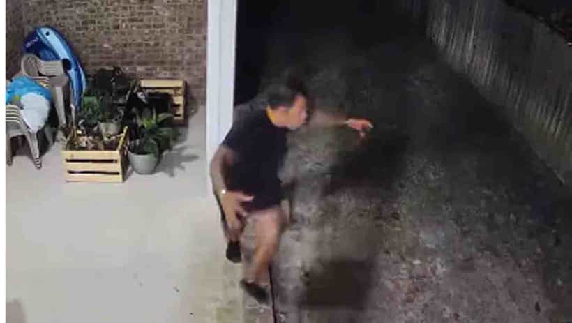 Viral Video: ಕರಡಿಯನ್ನು ಓಡಿಸಿದ ಈತನ ರೀತಿಗೆ ‘ಡ್ಯಾಡ್ ಆಫ್ ದಿ ಇಯರ್’ ಎಂದ ನೆಟ್ಟಿಗರು