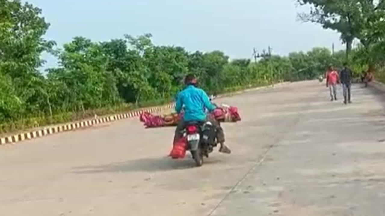 ಮಧ್ಯಪ್ರದೇಶ: ಶವ ಸಾಗಿಸಲು ವಾಹನ ಸಿಗಲಿಲ್ಲ, ಅಮ್ಮನ ಮೃತದೇಹವನ್ನು ಬೈಕ್ನಲ್ಲಿರಿಸಿ ಕೊಂಡೊಯ್ದ ಮಗ ಮಧ್ಯಪ್ರದೇಶ: ಶವ ಸಾಗಿಸಲು ವಾಹನ ಸಿಗಲಿಲ್ಲ, ಅಮ್ಮನ ಮೃತದೇಹವನ್ನು ಬೈಕ್ನಲ್ಲಿರಿಸಿ ಕೊಂಡೊಯ್ದ ಮಗ