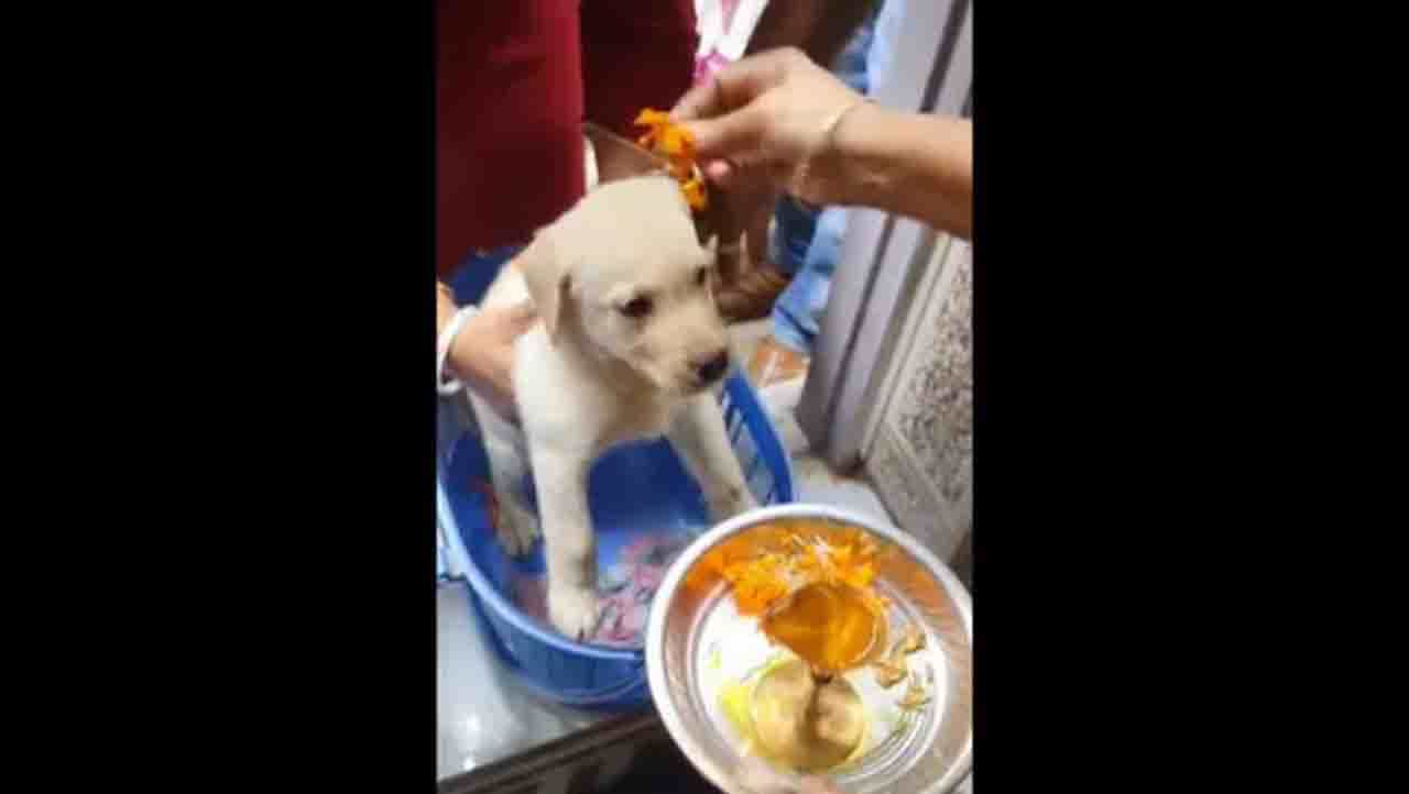 Viral Video: ಒಳಹೋಗುವಾಗ ಕೈ ಮುಗೀಬೇಕಿತ್ತಾ ನಾನು?
