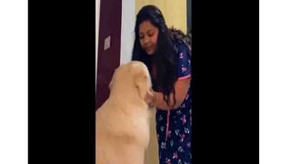 Viral Video : ಈ ಚಿಂಪಾಂಜಿಯೊಂದಿಗೆ ಸಮಯ ಕಳೆಯಬೇಕೇ?