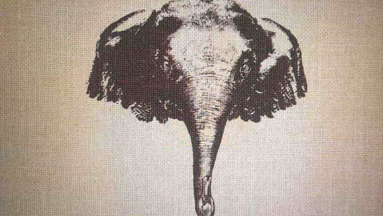 Optical Illusion: ಒತ್ತಡದ ಮಧ್ಯೆ ತಲೆ ಓಡ್ತಿಲ್ವಾ? ಸ್ವಲ್ಪ ಈ ಚಿತ್ರ ನೋಡಿ Optical Illusion: ಒತ್ತಡದ ಮಧ್ಯೆ ತಲೆ ಓಡ್ತಿಲ್ವಾ? ಸ್ವಲ್ಪ ಈ ಚಿತ್ರ ನೋಡಿ