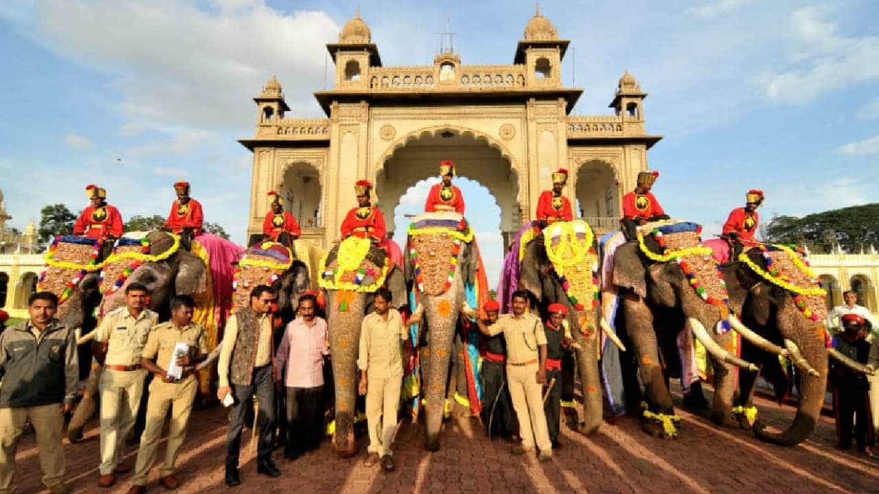 ವಿಶ್ವವಿಖ್ಯಾತ ಮೈಸೂರು ದಸರಾ ಮಹೋತ್ಸವ-2022: ಇಂದು ಅರಮನೆಗೆ ಗಜಪಡೆ ಆಗಮನ ವಿಶ್ವವಿಖ್ಯಾತ ಮೈಸೂರು ದಸರಾ ಮಹೋತ್ಸವ-2022: ಇಂದು ಅರಮನೆಗೆ ಗಜಪಡೆ ಆಗಮನ