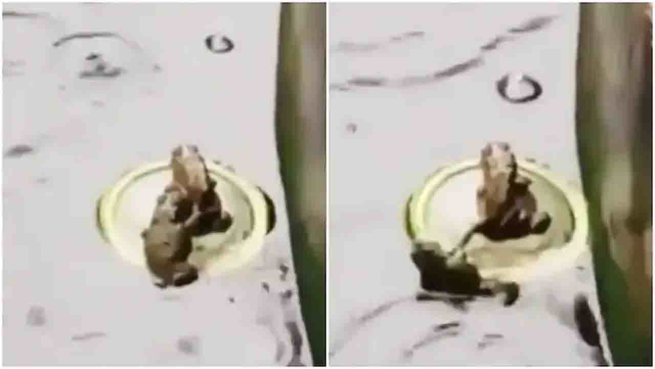 Viral Video: ಇಲ್ಲಿದೆ ನೋಡಿ ಟೈಟಾನಿಕ್ನ ಕೊನೇ ಸೀನ್ Viral Video: ಇಲ್ಲಿದೆ ನೋಡಿ ಟೈಟಾನಿಕ್ನ ಕೊನೇ ಸೀನ್