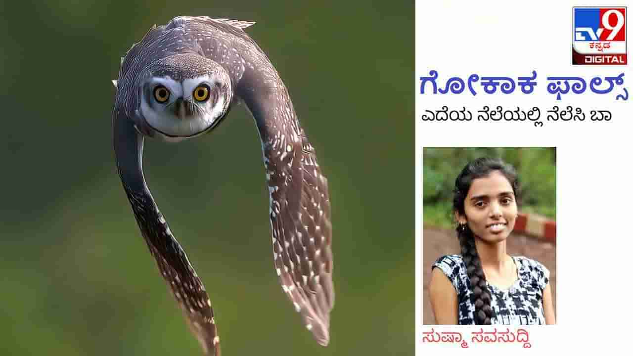 Column: Gokak Falls; ಇದು ಘಟಪ್ರಭೆಯ ‘ಕೊನೆಯ ಹರಿವು’