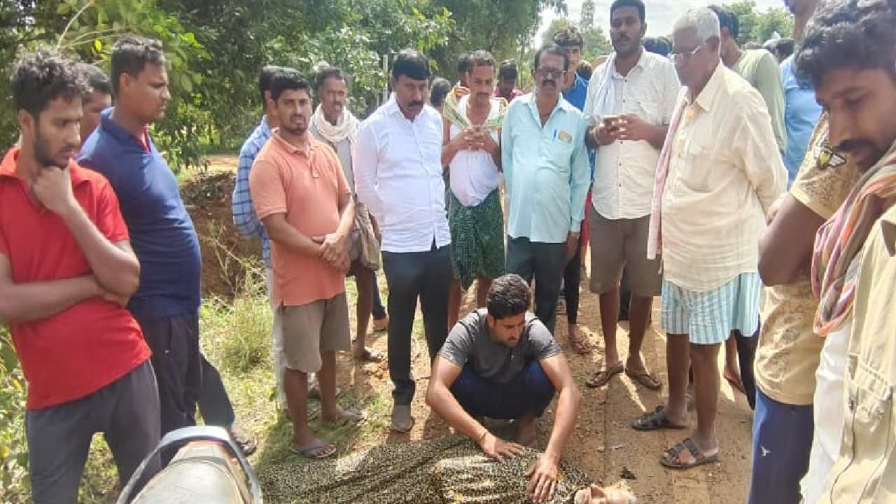 ಕೋಲಾರ ಬಿಜೆಪಿ ಜಿಲ್ಲಾಧ್ಯಕ್ಷ ಕಾರು ಅಪಘಾತ: ಓರ್ವ ಸ್ಥಳದಲ್ಲೇ ಸಾವು