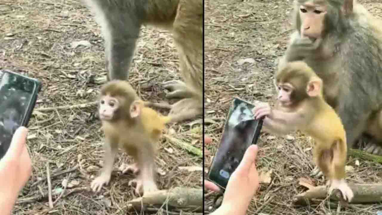 Viral Video : ‘ಅಮ್ಮಾ ನಂಗೆ ಈ ಸ್ಮಾರ್ಟ್ಫೋನ್ ಬೇಕೇಬೇಕು’