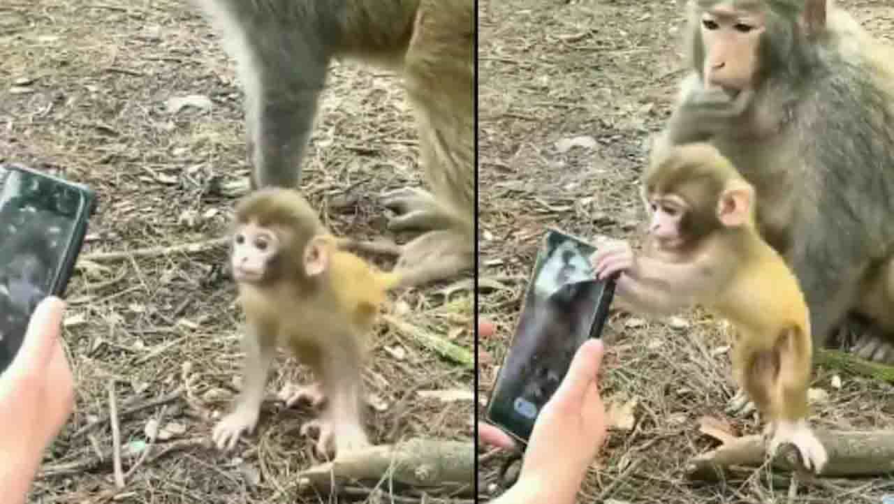 Viral Video : ‘ಅಮ್ಮಾ ನಂಗೆ ಈ ಸ್ಮಾರ್ಟ್ಫೋನ್ ಬೇಕೇಬೇಕು’ Viral Video : ‘ಅಮ್ಮಾ ನಂಗೆ ಈ ಸ್ಮಾರ್ಟ್ಫೋನ್ ಬೇಕೇಬೇಕು’