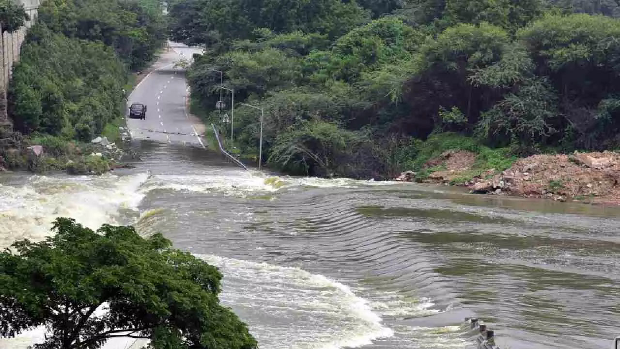 ಮಧ್ಯಪ್ರದೇಶದ ನದಿಯಲ್ಲಿ ಹಠಾತ್ ನೀರು ಏರಿಕೆ; ಕೊಚ್ಚಿ ಹೋದ 14 ಕಾರು, ಅಪಾಯದಿಂದ ಜನ ಪಾರು