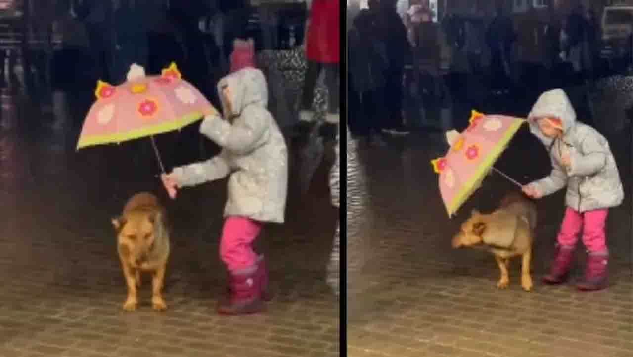 Viral: ‘ಅಯ್ಯೋ, ಮಳೆ ಇದೆ ಬಾ ಇಲ್ಲಿ ಕೊಡೆಯೊಳಗೆ’ Viral: ‘ಅಯ್ಯೋ, ಮಳೆ ಇದೆ ಬಾ ಇಲ್ಲಿ ಕೊಡೆಯೊಳಗೆ’