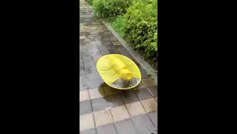 Viral Video : ಎಂಥಾ ಪರ್ಫೆಕ್ಟ್ ರೇನ್ಕೋಟ್ ಗೊತ್ತಾ ಇದು?