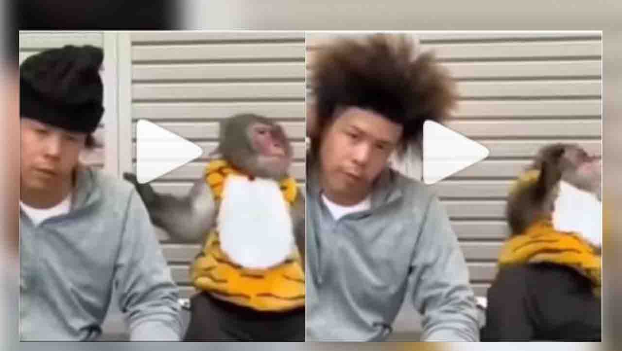 Viral Video : ಇವನ ಹೇರ್ಸ್ಟೈಲ್ಗೆ ಹೌಹಾರಿರುವ ಈ ಕೋತಿ Viral Video : ಇವನ ಹೇರ್ಸ್ಟೈಲ್ಗೆ ಹೌಹಾರಿರುವ ಈ ಕೋತಿ