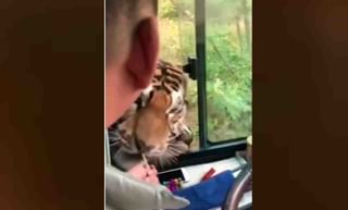 Viral Video: ಲಂಡನ್​ನ ಬೀದಿಯಲ್ಲಿ ‘ಕಲ್​ ಹೋ ನಾ ಹೋ’ ವೈರಲ್