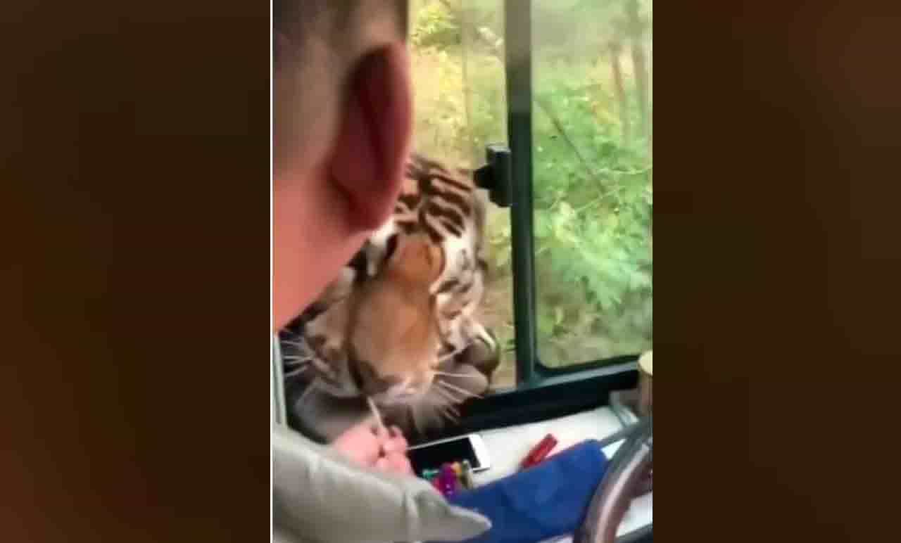 Viral Video: ಲಾಲಿಪಾಪ್ ಕೊಟ್ಟಿದ್ದಕ್ಕೆ ಥ್ಯಾಂಕ್​ ಯೂ ಡ್ರೈವರ್ ಅಂಕಲ್ ಎಂದ ಹುಲಿಪುಟ್ಟ!