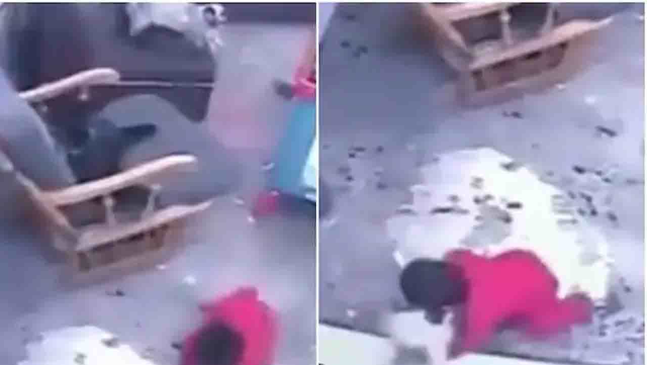 Viral Video: ಮಗುವನ್ನು ರಕ್ಷಿಸಿದ ಈ ‘ಹೀರೋ ಕ್ಯಾಟ್’ Viral Video: ಮಗುವನ್ನು ರಕ್ಷಿಸಿದ ಈ ‘ಹೀರೋ ಕ್ಯಾಟ್’