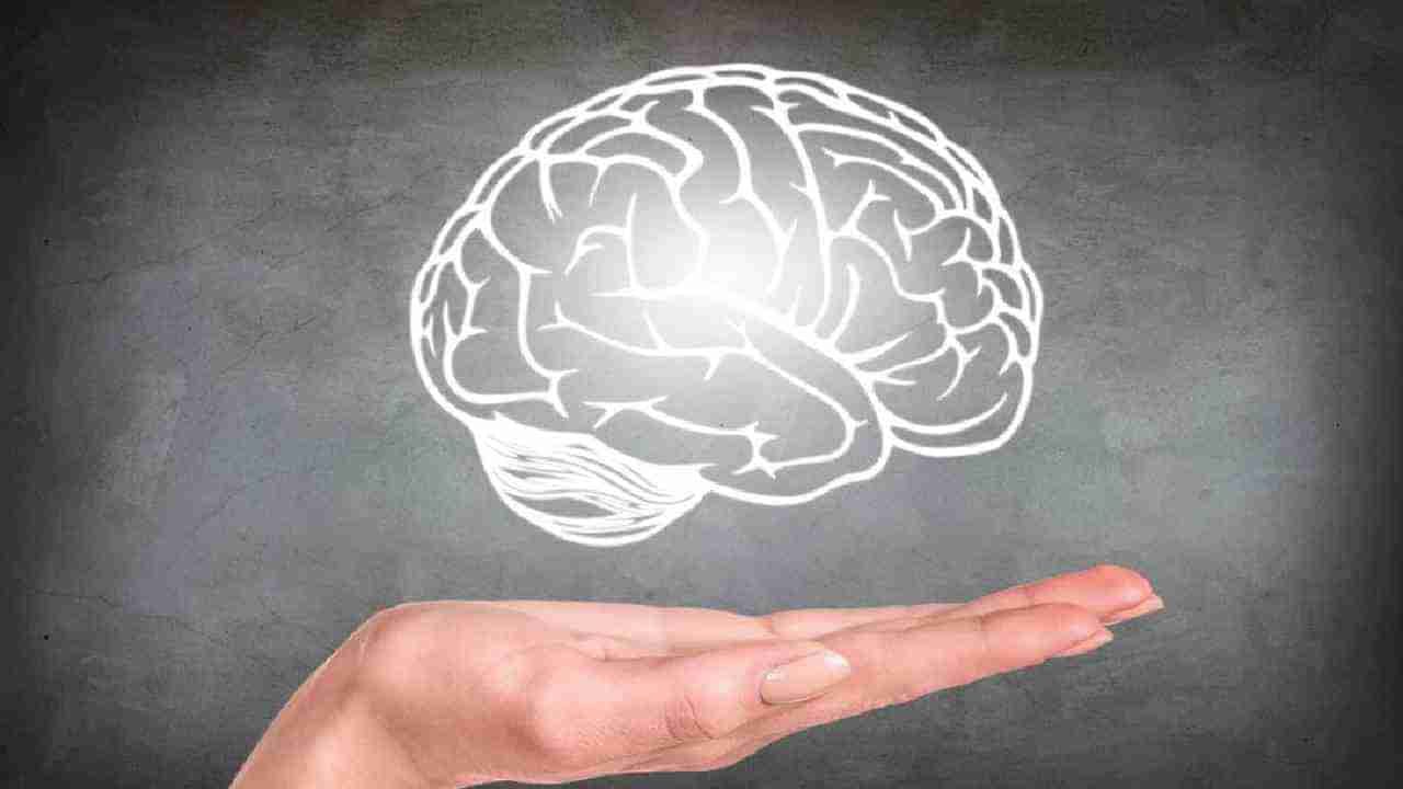 Brain Health: ಈ ಪದಾರ್ಥಗಳನ್ನು ತಿನ್ನುವುದರಿಂದ ಮೆದುಳು ಚೆನ್ನಾಗಿ ಕಾರ್ಯನಿರ್ವಹಿಸುತ್ತದೆ! ಹಾಗಾದರೆ ಆ ಪದಾರ್ಥಗಳು ಯಾವವು?