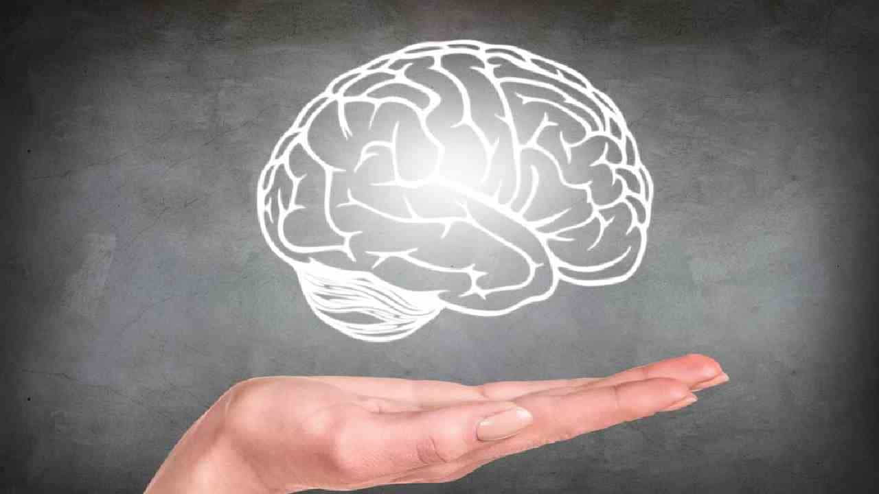 Brain Health: ಈ ಪದಾರ್ಥಗಳನ್ನು ತಿನ್ನುವುದರಿಂದ ಮೆದುಳು ಚೆನ್ನಾಗಿ ಕಾರ್ಯನಿರ್ವಹಿಸುತ್ತದೆ! ಹಾಗಾದರೆ ಆ ಪದಾರ್ಥಗಳು ಯಾವವು?