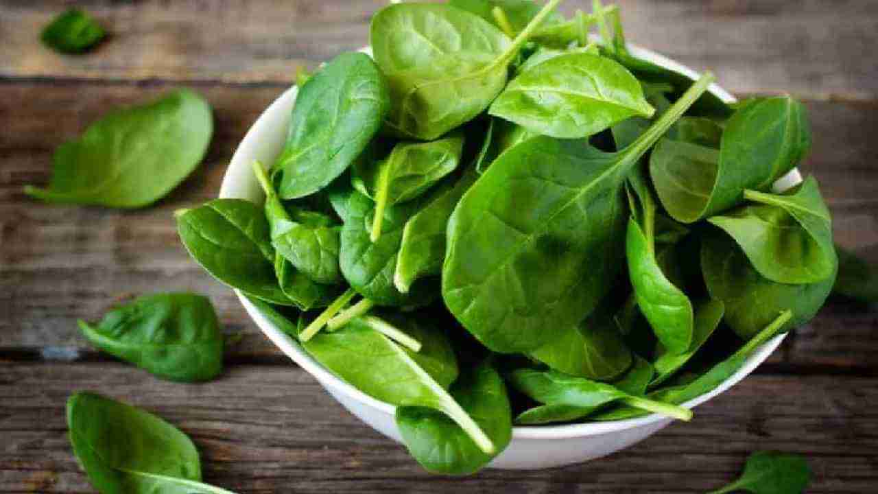 Spinach Benefits: ಪಾಲಕ್ ಸೊಪ್ಪಿನಲ್ಲಿ ಅಡಗಿವೆ ಅದ್ಭುತ ಆರೋಗ್ಯ ಪ್ರಯೋಜನಗಳು; ಇಲ್ಲಿದೆ ಮಾಹಿತಿ