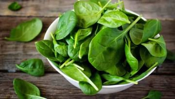 Spinach Benefits: ಪಾಲಕ್ ಸೊಪ್ಪಿನಲ್ಲಿ ಅಡಗಿವೆ ಅದ್ಭುತ ಆರೋಗ್ಯ ಪ್ರಯೋಜನಗಳು; ಇಲ್ಲಿದೆ ಮಾಹಿತಿ
