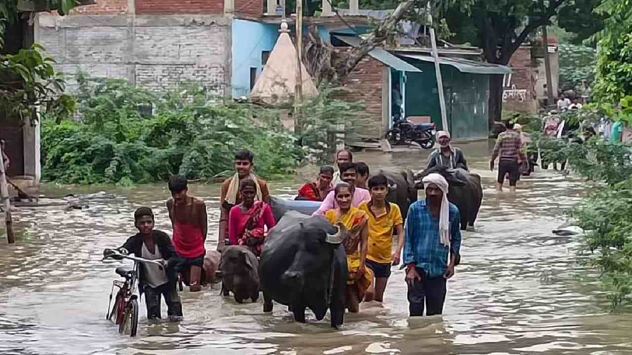 Uttar Pradesh Flood: ಉತ್ತರ ಪ್ರದೇಶದಲ್ಲಿ ಭೀಕರ ಪ್ರವಾಹ; ಒಬ್ಬರು ಸಾವು, 2.4 ಲಕ್ಷ ಜನರ ಜೀವನ ಅಸ್ತವ್ಯಸ್ತ Uttar Pradesh Flood: ಉತ್ತರ ಪ್ರದೇಶದಲ್ಲಿ ಭೀಕರ ಪ್ರವಾಹ; ಒಬ್ಬರು ಸಾವು, 2.4 ಲಕ್ಷ ಜನರ ಜೀವನ ಅಸ್ತವ್ಯಸ್ತ