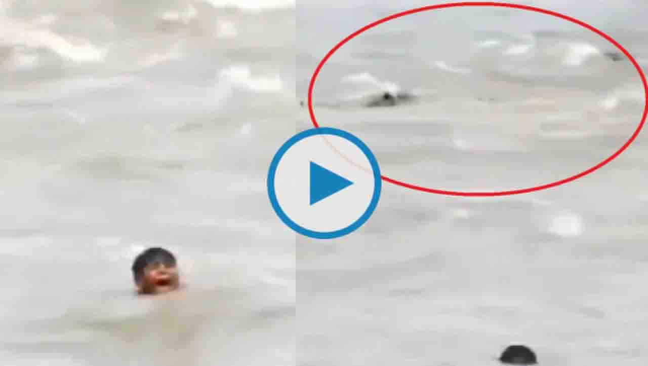 Viral Video: ಮೊಸಳೆಗಳು ತುಂಬಿರುವ ನದಿಯಲ್ಲಿ ಮುಳುಗುತ್ತಿದ್ದ ಬಾಲಕ, ಮುಂದೇನಾಯಿತು ನೋಡಿ ವಿಡಿಯೋ Viral Video: ಮೊಸಳೆಗಳು ತುಂಬಿರುವ ನದಿಯಲ್ಲಿ ಮುಳುಗುತ್ತಿದ್ದ ಬಾಲಕ, ಮುಂದೇನಾಯಿತು ನೋಡಿ ವಿಡಿಯೋ