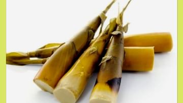 Bamboo Shoot: ಮಳೆಗಾಲ ಬಂದಿದೆ ಒಮ್ಮೆಯಾದ್ರೂ ಬಿದಿರಿನ ಕಳಲೆ ತಿನ್ನಿ, ಆರೋಗ್ಯಕ್ಕೆ ಬಹಳ ಒಳ್ಳೆಯದು