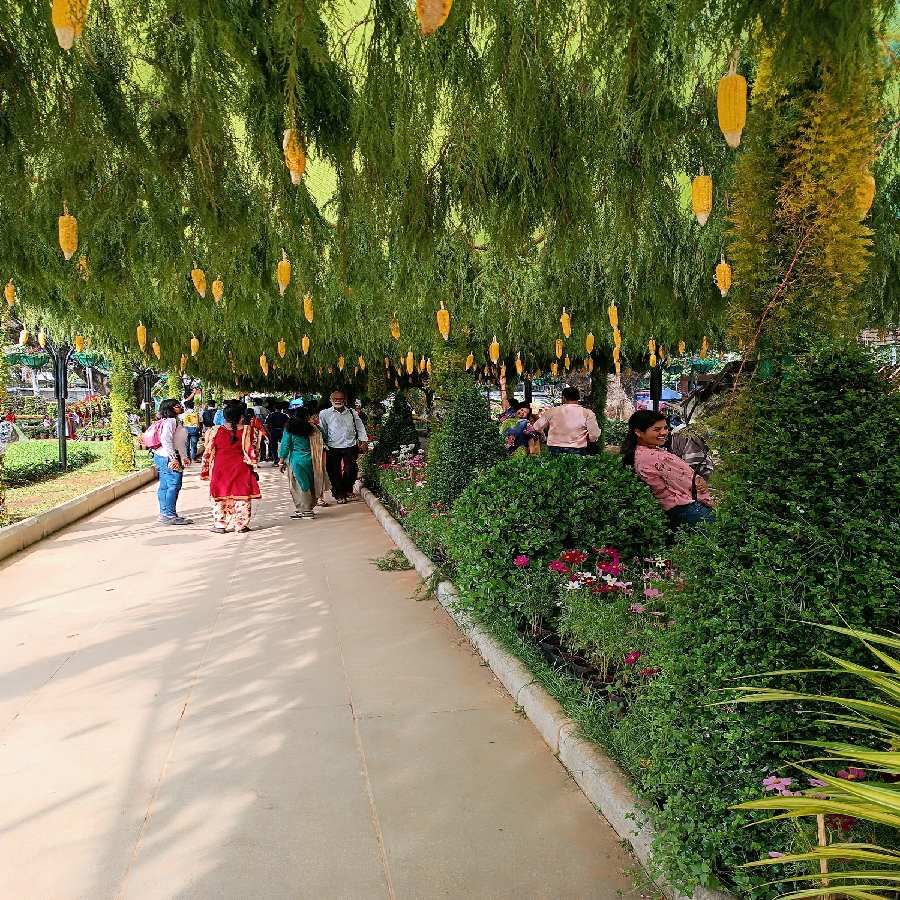 Mysore dasara 2022 special flower show 