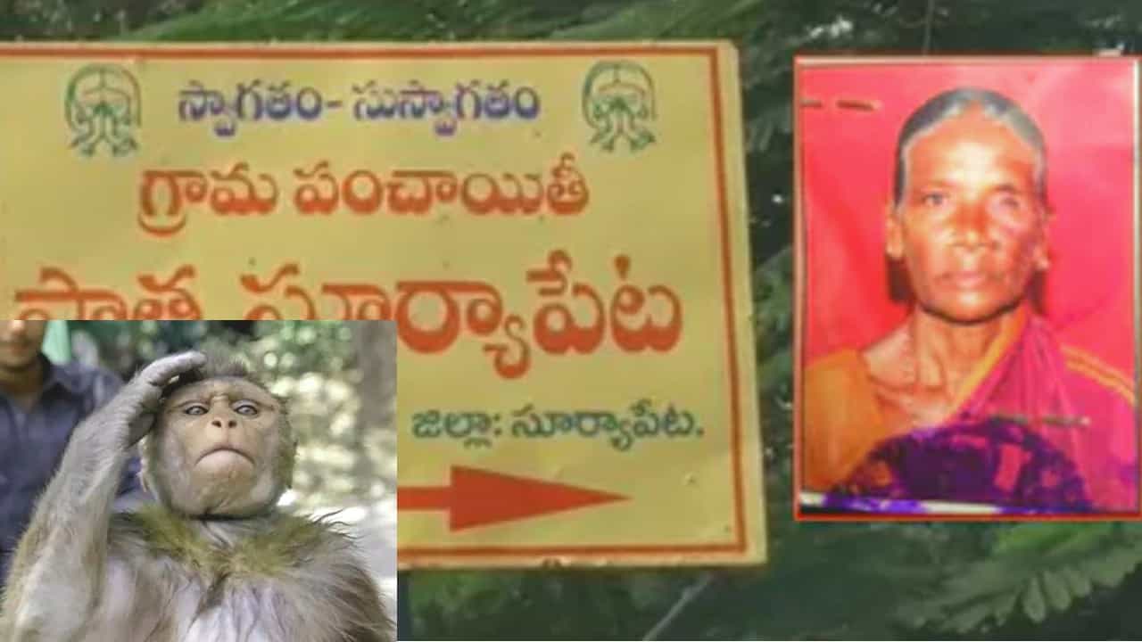ಸೂರ್ಯಪೇಟೆ: ಮನೆಗೆ ನುಗ್ಗಿದ ಮಂಗಗಳ ಹಿಂಡು ಒಂಟಿಯಾಗಿದ್ದ ಅನಾರೋಗ್ಯ ವೃದ್ಧೆಯನ್ನು ಕೊಂದುಹಾಕಿತು ಸೂರ್ಯಪೇಟೆ: ಮನೆಗೆ ನುಗ್ಗಿದ ಮಂಗಗಳ ಹಿಂಡು ಒಂಟಿಯಾಗಿದ್ದ ಅನಾರೋಗ್ಯ ವೃದ್ಧೆಯನ್ನು ಕೊಂದುಹಾಕಿತು