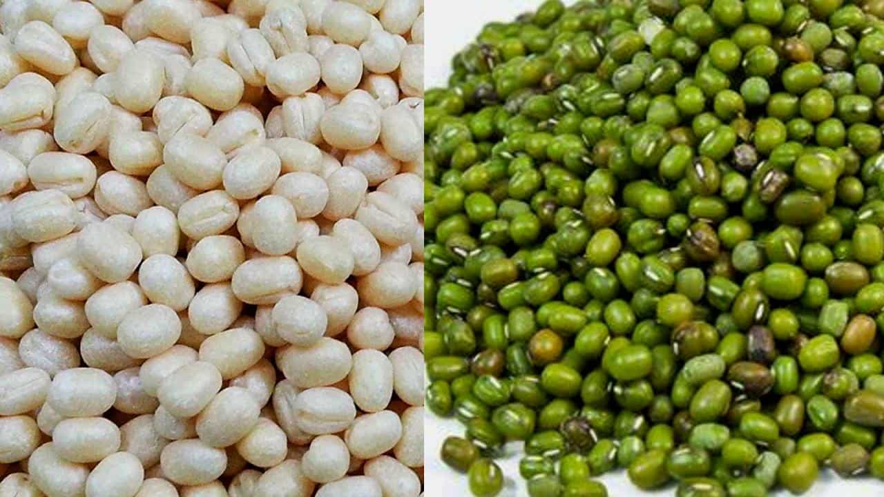 Dharwad: ಕೇಂದ್ರ ಸರ್ಕಾರದ ಬೆಂಬಲ ಬೆಲೆ ಯೋಜನೆಯಡಿ 17 ಕೇಂದ್ರಗಳಲ್ಲಿ ಹೆಸರುಕಾಳು, 3 ಕೇಂದ್ರಗಳಲ್ಲಿ ಉದ್ದಿನಕಾಳು ಖರೀದಿ ಆರಂಭ Dharwad: ಕೇಂದ್ರ ಸರ್ಕಾರದ ಬೆಂಬಲ ಬೆಲೆ ಯೋಜನೆಯಡಿ 17 ಕೇಂದ್ರಗಳಲ್ಲಿ ಹೆಸರುಕಾಳು, 3 ಕೇಂದ್ರಗಳಲ್ಲಿ ಉದ್ದಿನಕಾಳು ಖರೀದಿ ಆರಂಭ
