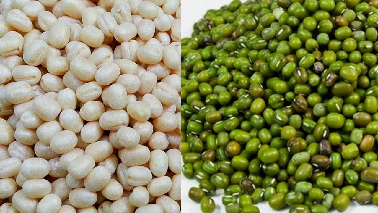 Dharwad: ಕೇಂದ್ರ ಸರ್ಕಾರದ ಬೆಂಬಲ ಬೆಲೆ ಯೋಜನೆಯಡಿ 17 ಕೇಂದ್ರಗಳಲ್ಲಿ ಹೆಸರುಕಾಳು, 3 ಕೇಂದ್ರಗಳಲ್ಲಿ ಉದ್ದಿನಕಾಳು ಖರೀದಿ ಆರಂಭ Dharwad: ಕೇಂದ್ರ ಸರ್ಕಾರದ ಬೆಂಬಲ ಬೆಲೆ ಯೋಜನೆಯಡಿ 17 ಕೇಂದ್ರಗಳಲ್ಲಿ ಹೆಸರುಕಾಳು, 3 ಕೇಂದ್ರಗಳಲ್ಲಿ ಉದ್ದಿನಕಾಳು ಖರೀದಿ ಆರಂಭ