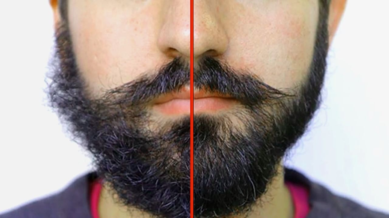 Beard Grooming: ನಿಮ್ಮ ಗಡ್ಡವನ್ನು ಅಂದಚೆಂದಗೊಳಿಸಲು ಸಲಹೆಗಳು: ಗಡ್ಡವನ್ನು ಪೋಷಿಸಲು ನವ ಮಾರ್ಗಗಳು ಇಲ್ಲಿವೆ! Beard Grooming: ನಿಮ್ಮ ಗಡ್ಡವನ್ನು ಅಂದಚೆಂದಗೊಳಿಸಲು ಸಲಹೆಗಳು: ಗಡ್ಡವನ್ನು ಪೋಷಿಸಲು ನವ ಮಾರ್ಗಗಳು ಇಲ್ಲಿವೆ!