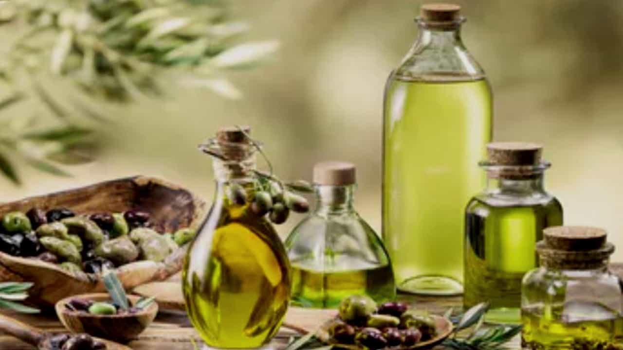 Olive Oil ದಿನಕ್ಕೆ ಒಂದು ಚಮಚ ಆಲಿವ್ ಎಣ್ಣೆಯನ್ನು ಸೇವಿಸಿದರೆ ಎಷ್ಟೆಲ್ಲಾ ಪ್ರಯೋಜನಗಳಿವೆ ಗೊತ್ತಾ? Olive Oil ದಿನಕ್ಕೆ ಒಂದು ಚಮಚ ಆಲಿವ್ ಎಣ್ಣೆಯನ್ನು ಸೇವಿಸಿದರೆ ಎಷ್ಟೆಲ್ಲಾ ಪ್ರಯೋಜನಗಳಿವೆ ಗೊತ್ತಾ?