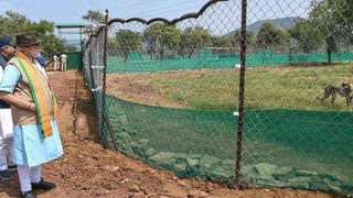 PFI Ban: ಪ್ರವೀಣ್ ನೆಟ್ಟಾರು ಹತ್ಯೆಗೂ ಪಿಎಫ್​ಐ ನಿಷೇಧಕ್ಕೂ ಇದೆ ನಂಟು; ಕೇಂದ್ರದ ಅಧಿಸೂಚನೆಯ ಮುಖ್ಯಾಂಶಗಳಿವು