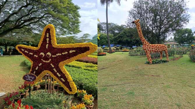 Mysore Dasara 2022: ನಾಡಹಬ್ಬ ಮೈಸೂರು ದಸರಾ ಫಲಪುಷ್ಪ ಪ್ರದರ್ಶನಕ್ಕೆ ಅದ್ಭುತ ರೆಸ್ಪಾನ್ಸ್