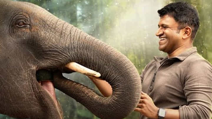 ತಿಂಗಳಿಗೂ ಮೊದಲೇ ಆರಂಭವಾಯ್ತು ಅಪ್ಪು ಕನಸಿನ ಪ್ರಾಜೆಕ್ಟ್ ‘ಗಂಧದ ಗುಡಿ’ ಸೆಲೆಬ್ರೇಷನ್ ತಿಂಗಳಿಗೂ ಮೊದಲೇ ಆರಂಭವಾಯ್ತು ಅಪ್ಪು ಕನಸಿನ ಪ್ರಾಜೆಕ್ಟ್ ‘ಗಂಧದ ಗುಡಿ’ ಸೆಲೆಬ್ರೇಷನ್