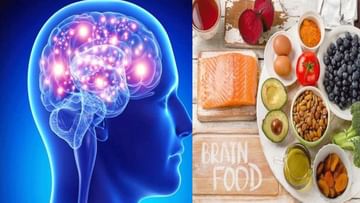Health tips: ನಿಮ್ಮ ಜ್ಞಾಪಕಶಕ್ತಿ ಹೆಚ್ಚಿಸಿಕೊಳ್ಳಬೇಕೆ? ಹಾಗಾದ್ರೆ ಈ ಸೂಪರ್ ಫುಡ್ಗಳನ್ನು ಸೇವಿಸಿ!