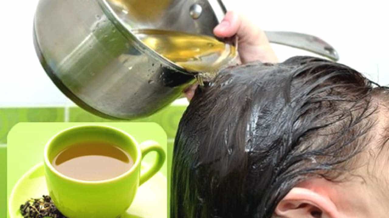 green tea benefits: ಕೂದಲಿನ ಹಲವು ಸಮಸ್ಯೆಗಳಿಗೆ ಗ್ರೀನ್ ಟೀ ರಾಮಬಾಣ! ಹೇಗೆ ಬಳಸಬೇಕು ಗೊತ್ತಾ? green tea benefits: ಕೂದಲಿನ ಹಲವು ಸಮಸ್ಯೆಗಳಿಗೆ ಗ್ರೀನ್ ಟೀ ರಾಮಬಾಣ! ಹೇಗೆ ಬಳಸಬೇಕು ಗೊತ್ತಾ?