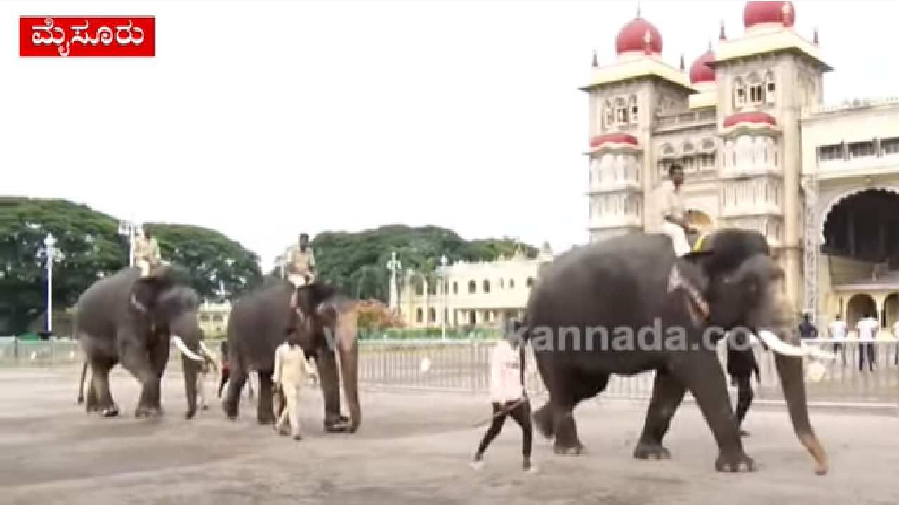 Mysore Dasara 2022: ಮೈಸೂರು ತಲುಪಿದ ಎರಡನೇ ತಂಡದ ಆನೆಗಳು, ಸರಳ ಸ್ವಾಗತ Mysore Dasara 2022: ಮೈಸೂರು ತಲುಪಿದ ಎರಡನೇ ತಂಡದ ಆನೆಗಳು, ಸರಳ ಸ್ವಾಗತ