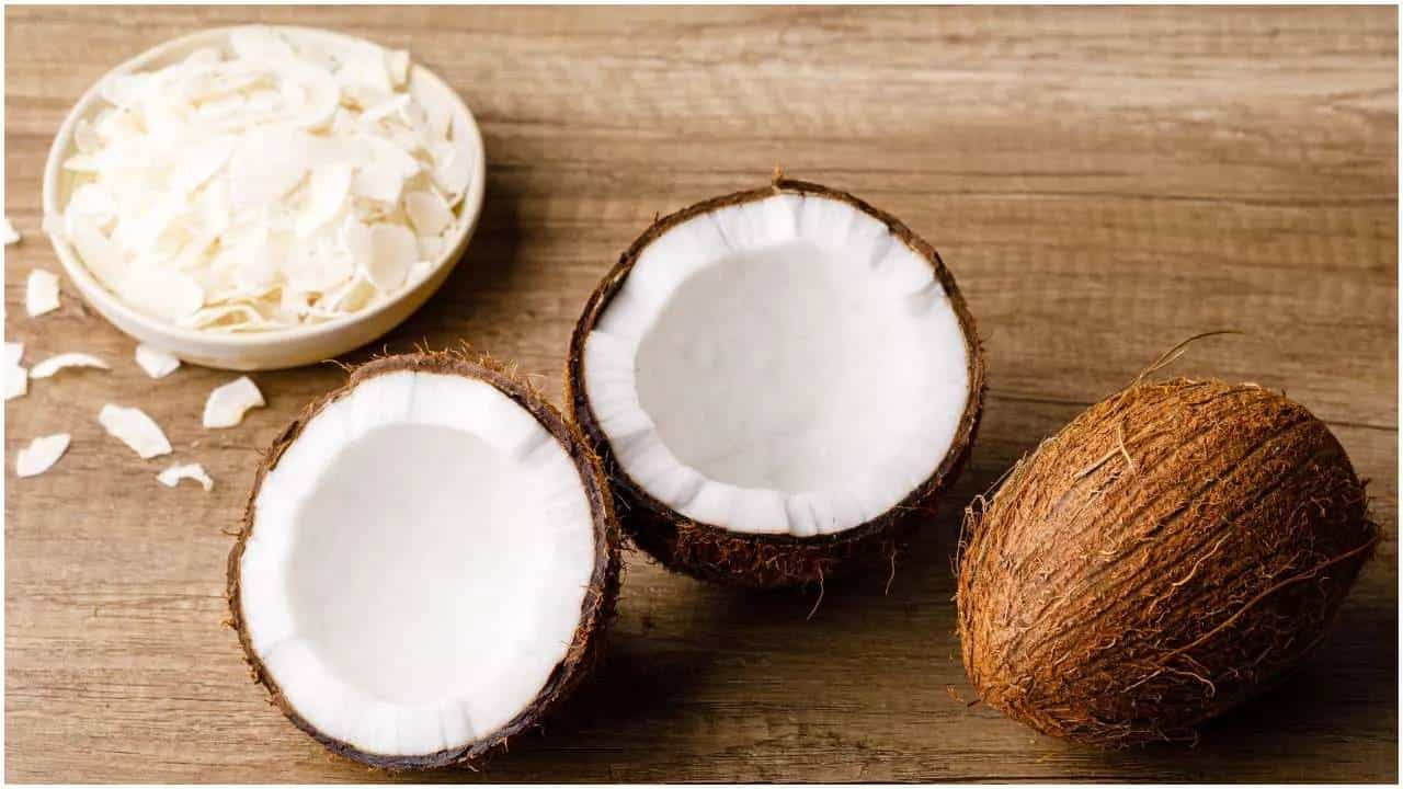 World Coconut Day 2022: ತೆಂಗಿನಕಾಯಿ ಬಳಕೆಯಿಂದಾಗುವ ಅದ್ಭುತ ಆರೋಗ್ಯ ಪ್ರಯೋಜನಗಳನ್ನು ತಿಳಿಯಿರಿ World Coconut Day 2022: ತೆಂಗಿನಕಾಯಿ ಬಳಕೆಯಿಂದಾಗುವ ಅದ್ಭುತ ಆರೋಗ್ಯ ಪ್ರಯೋಜನಗಳನ್ನು ತಿಳಿಯಿರಿ