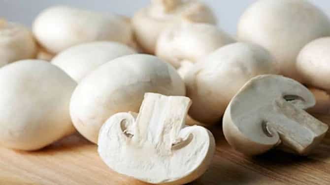 Mushroom Side Effects: ಅಣಬೆಯನ್ನು ತಿನ್ನುವುದರಿಂದ ಆರೋಗ್ಯದ ಮೇಲೆ ಈ ರೀತಿ ದುಷ್ಪರಿಣಾಮಗಳು ಬೀರಬಹುದು