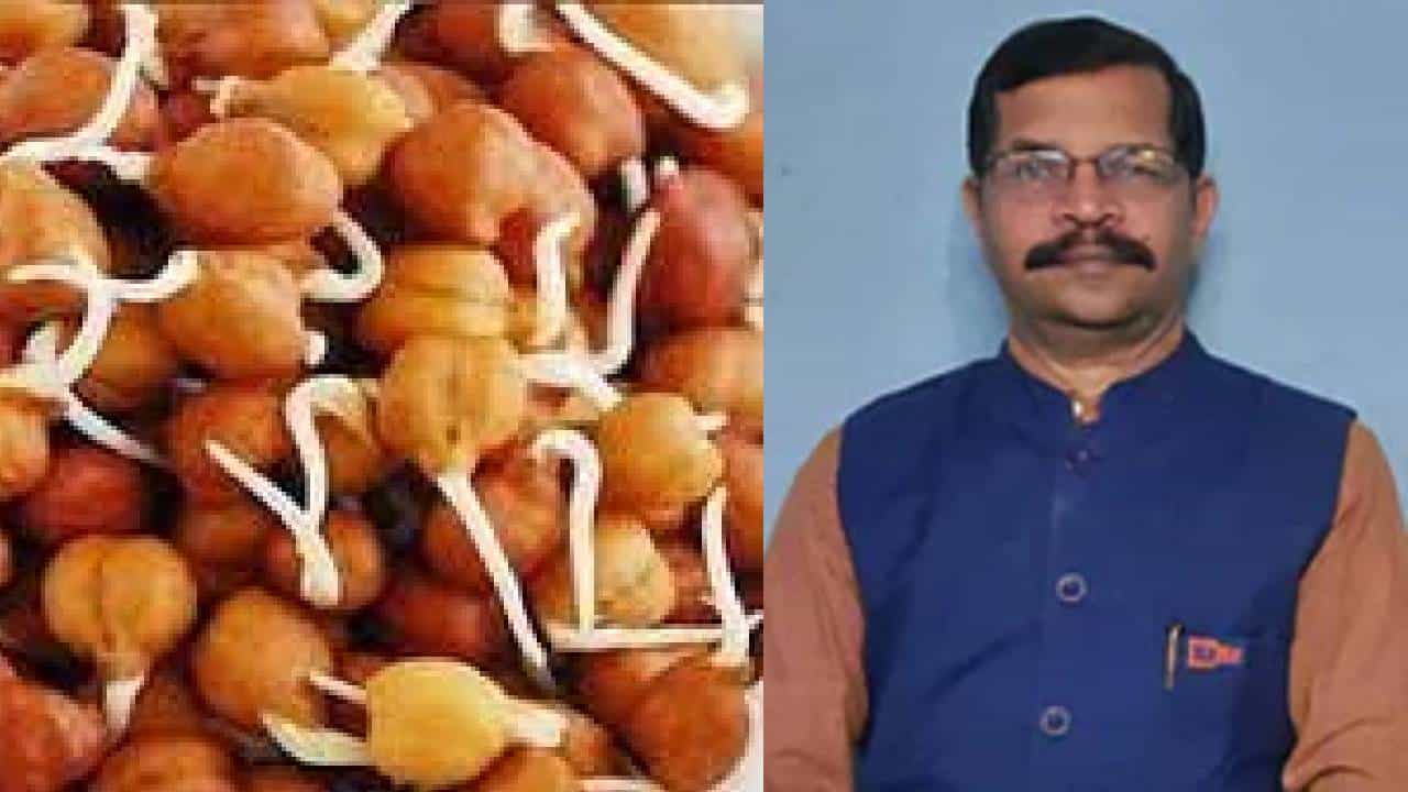 Chickpeas Benefits: ಕಡಲೆ ತಿನ್ನುವುದರಿಂದಾಗುವ ಅಧ್ಭುತ ಆರೋಗ್ಯ ಪ್ರಯೋಜನಗಳ ಬಗ್ಗೆ ನಿಮಗೆ ಗೊತ್ತೇ? Chickpeas Benefits: ಕಡಲೆ ತಿನ್ನುವುದರಿಂದಾಗುವ ಅಧ್ಭುತ ಆರೋಗ್ಯ ಪ್ರಯೋಜನಗಳ ಬಗ್ಗೆ ನಿಮಗೆ ಗೊತ್ತೇ?